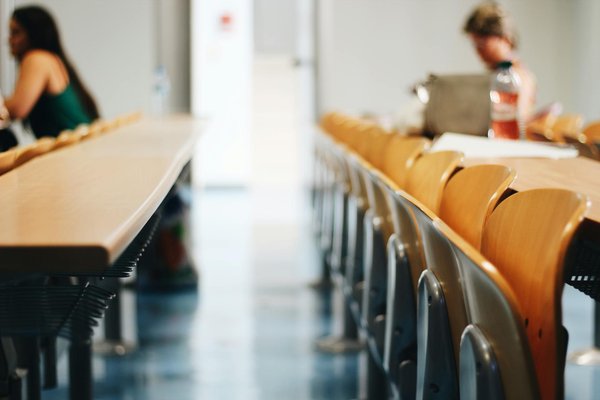 Que choisir entre poisons raticides et pièges à rat ?